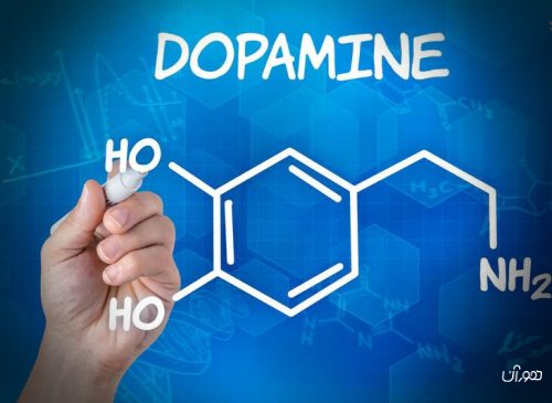 با 2 ویژگی اصلی رژیم لاغری دوپامین آشنا شوید